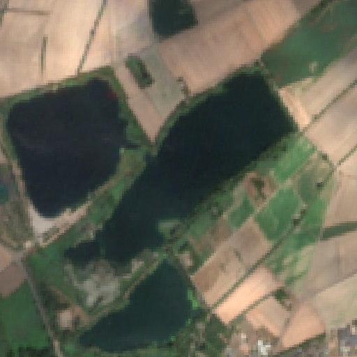 Sentinel-2-Aufnahme des Altrheinsee vom 06. August 2026
