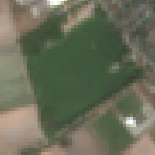 Sentinel-2-Aufnahme des An der Steinernen Brücke vom 03. August 2026
