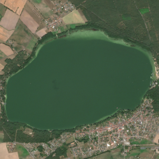 Sentinel-2-Aufnahme des Arendsee vom 08. August 2026