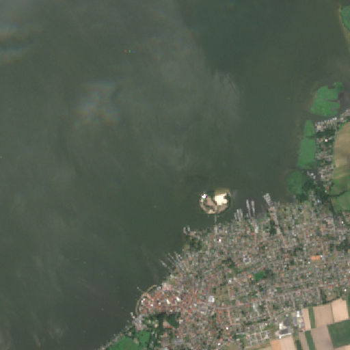 Sentinel-2-Aufnahme des BADEINSEL IM STEINHUDER MEER vom 04. August 2026