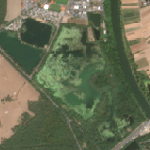 Sentinel-2-Aufnahme des BADESEE MAINFLINGEN vom 10. August 2026