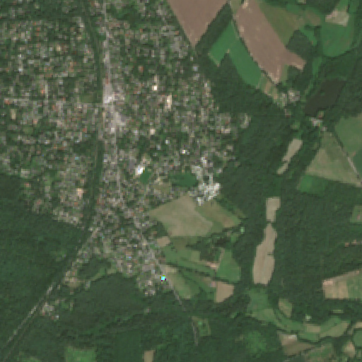 Sentinel-2-Aufnahme des BADETEICH HOLM SEPPENSEN vom 12. Juli 2026