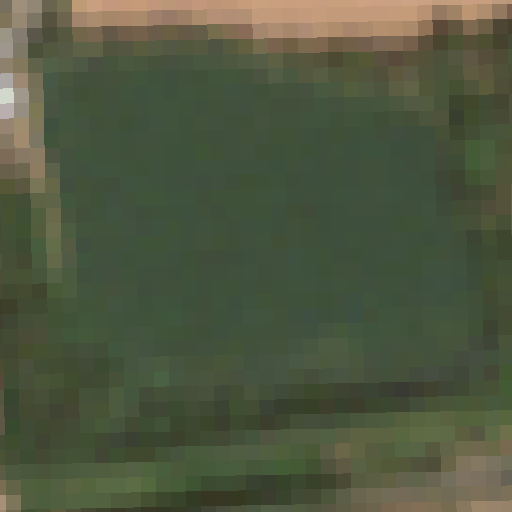 Sentinel-2-Aufnahme des Bärenlochweiher vom 04. August 2026