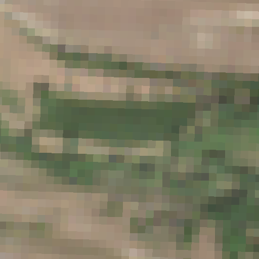 Sentinel-2-Aufnahme des Bechthaler Weiher vom 10. August 2026