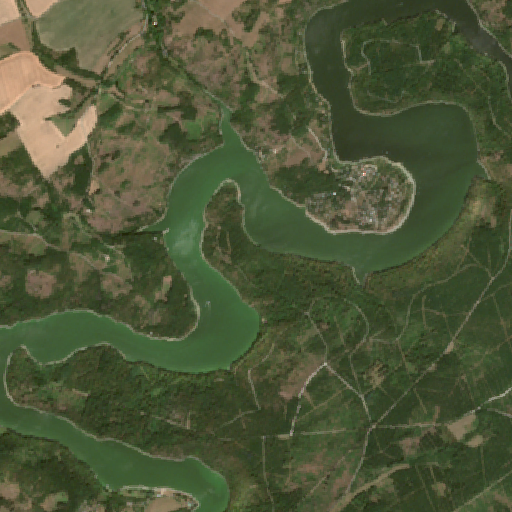 Sentinel-2-Aufnahme des Bleilochtalsperre vom 10. August 2026