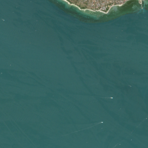 Sentinel-2-Aufnahme des Bodensee vom 10. August 2026
