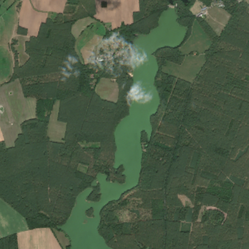 Sentinel-2-Aufnahme des Borker See vom 08. August 2026