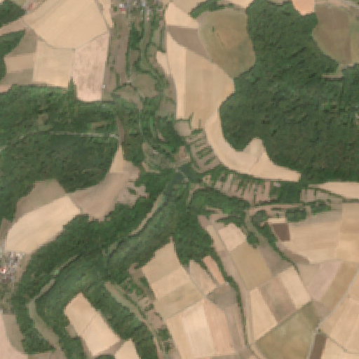 Sentinel-2-Aufnahme des Aschbachsee vom 10. August 2026