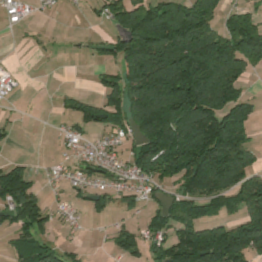 Sentinel-2-Aufnahme des Finsterroter See vom 10. August 2026