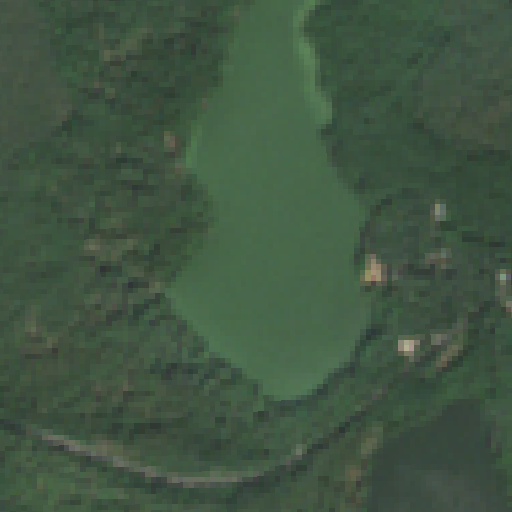 Sentinel-2-Aufnahme des Großer Treppelsee vom 10. August 2026