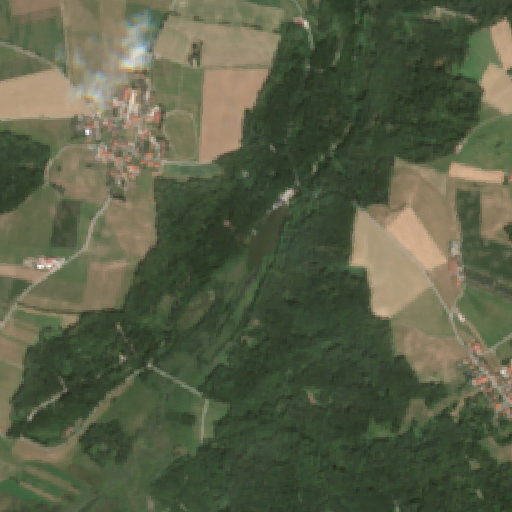 Sentinel-2-Aufnahme des Deininger Weiher vom 10. August 2026