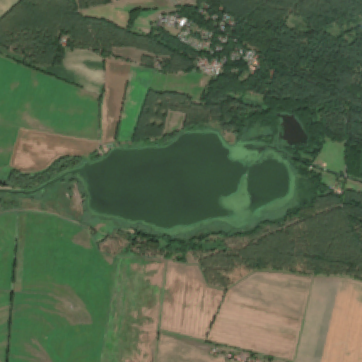 Sentinel-2-Aufnahme des Dreetzer See vom 08. August 2026