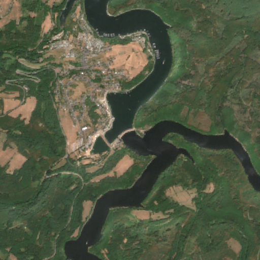 Sentinel-2-Aufnahme des Eiserbachsee vom 25. Juli 2026