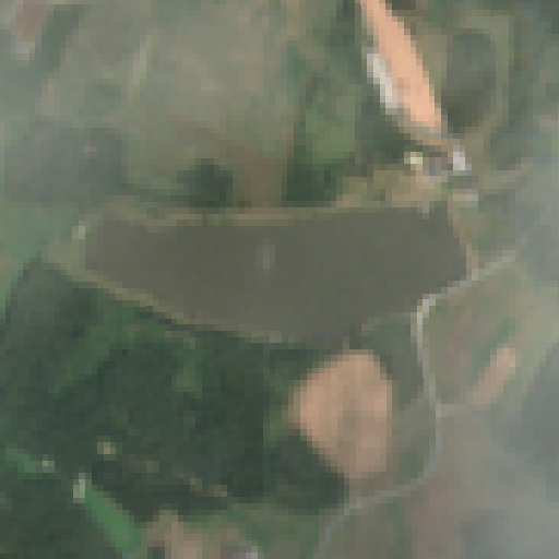 Sentinel-2-Aufnahme des Frauenwieserteich vom 07. August 2026