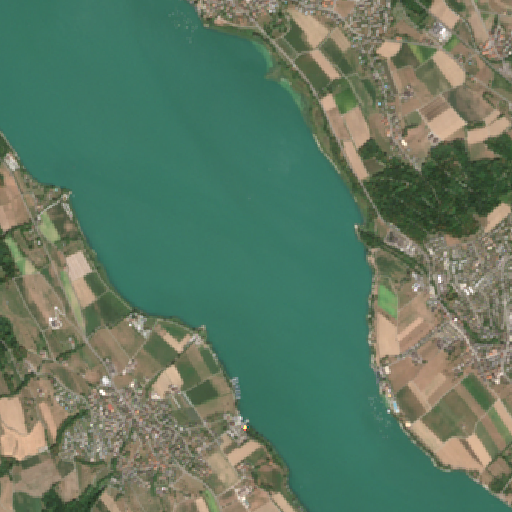 Sentinel-2-Aufnahme des Greifensee vom 08. August 2026