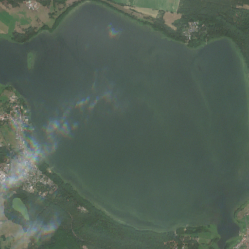 Sentinel-2-Aufnahme des Grimnitzsee vom 31. Juli 2026