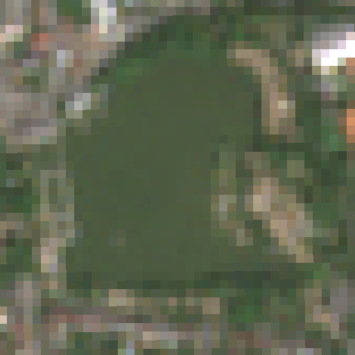 Sentinel-2-Aufnahme des Großer Woog vom 03. August 2026