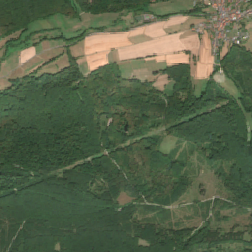 Sentinel-2-Aufnahme des Grüner See vom 08. August 2026