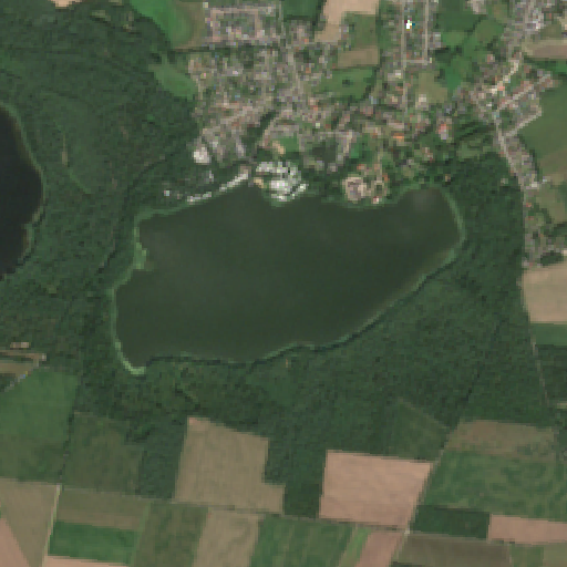 Sentinel-2-Aufnahme des Gudower See vom 03. August 2026