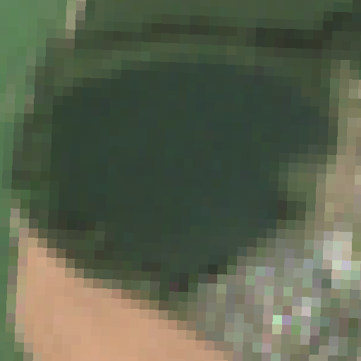 Sentinel-2-Aufnahme des Herrenteich vom 10. August 2026