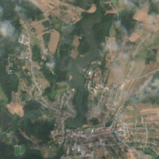 Sentinel-2-Aufnahme des Herrenteich, Litschau vom 07. August 2026