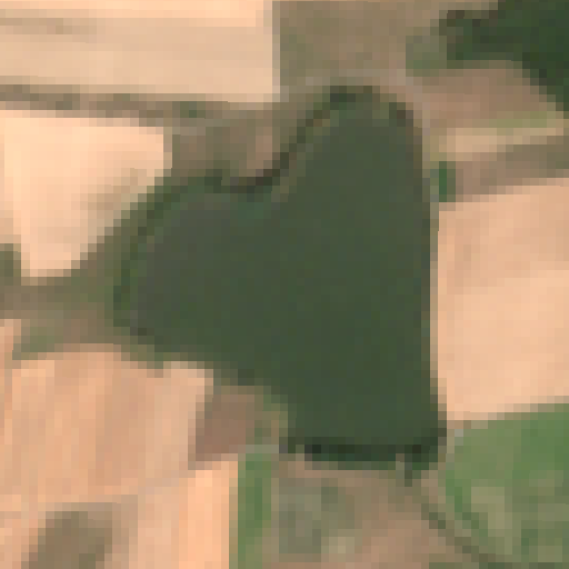 Sentinel-2-Aufnahme des Herrenteich vom 04. August 2026
