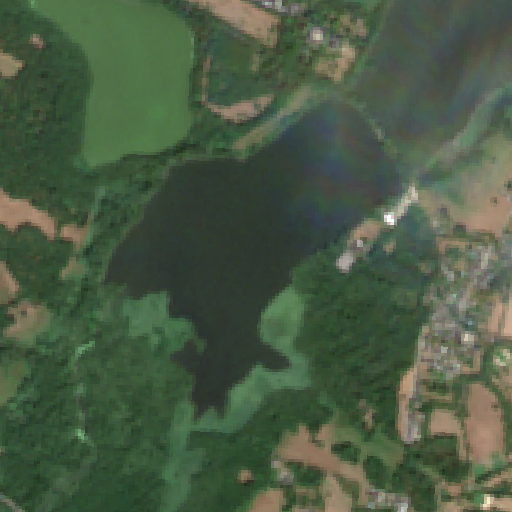 Sentinel-2-Aufnahme des Hinsbecker Bruch vom 04. August 2026