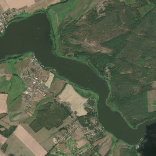 Sentinel-2-Aufnahme des Hohennauener See vom 08. August 2026