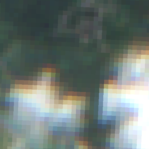 Sentinel-2-Aufnahme des Horster See vom 08. August 2026