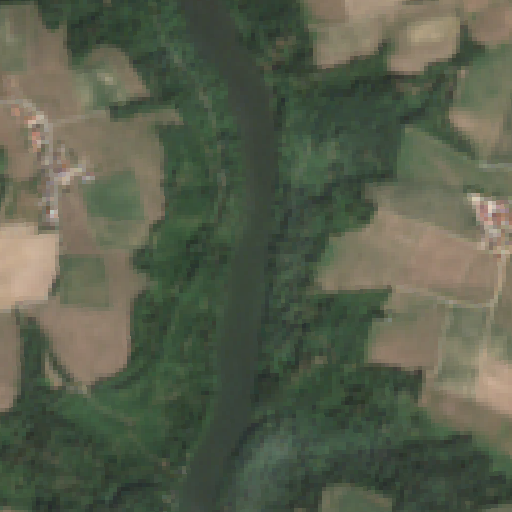 Sentinel-2-Aufnahme des Ilz vom 10. August 2026