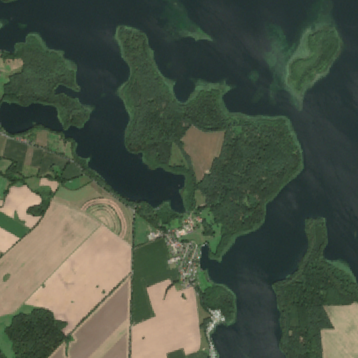 Sentinel-2-Aufnahme des Küchensee vom 03. August 2026