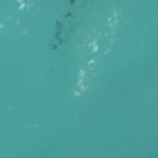 Sentinel-2-Aufnahme des Lac de Neuchâtel vom 06. August 2026