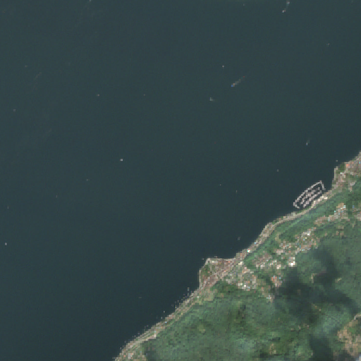 Sentinel-2-Aufnahme des Lago Maggiore vom 08. August 2026
