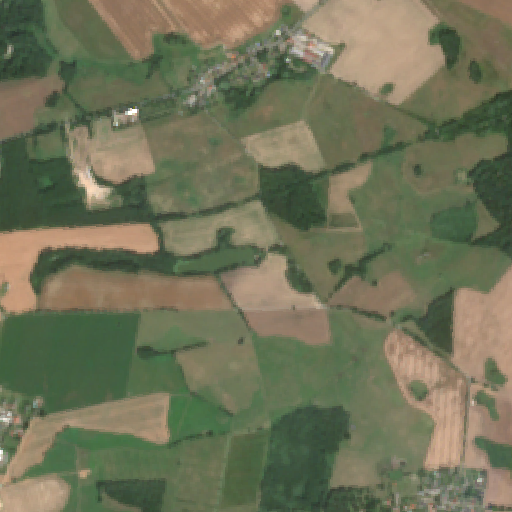 Sentinel-2-Aufnahme des Langer See Wendfeld vom 03. August 2026