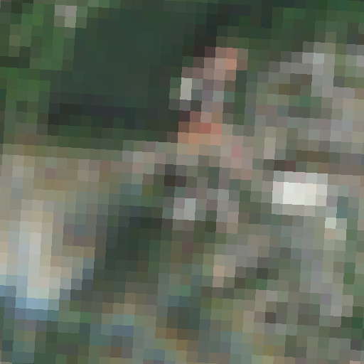 Sentinel-2-Aufnahme des Lietzensee vom 08. August 2026