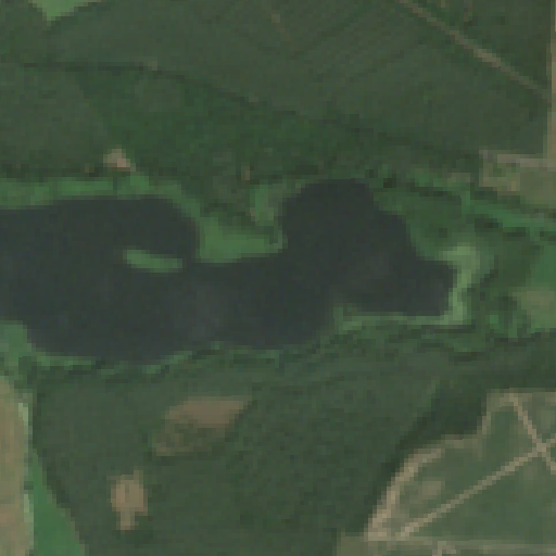 Sentinel-2-Aufnahme des Löcknitzer See vom 31. Juli 2026