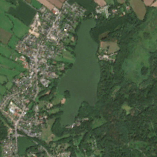 Sentinel-2-Aufnahme des Lütjensee vom 03. August 2026