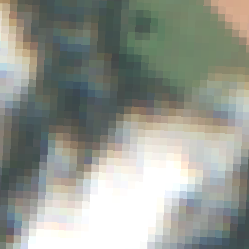 Sentinel-2-Aufnahme des Lütt See vom 08. August 2026