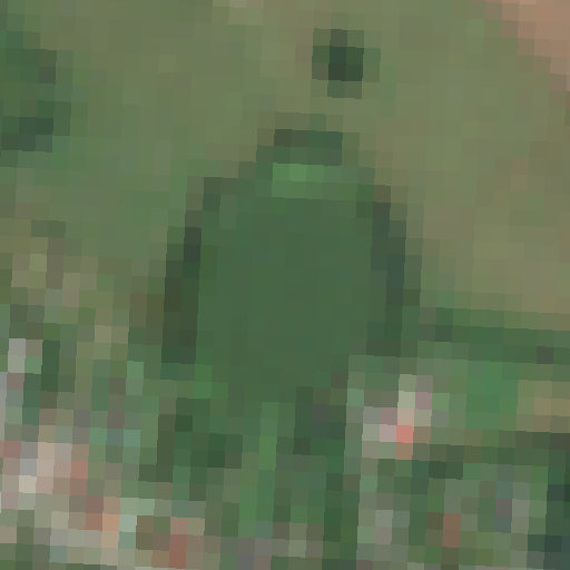 Sentinel-2-Aufnahme des Lütt See vom 29. Juli 2026