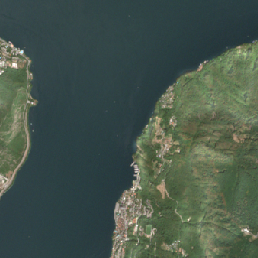 Sentinel-2-Aufnahme des Luganersee vom 10. August 2026