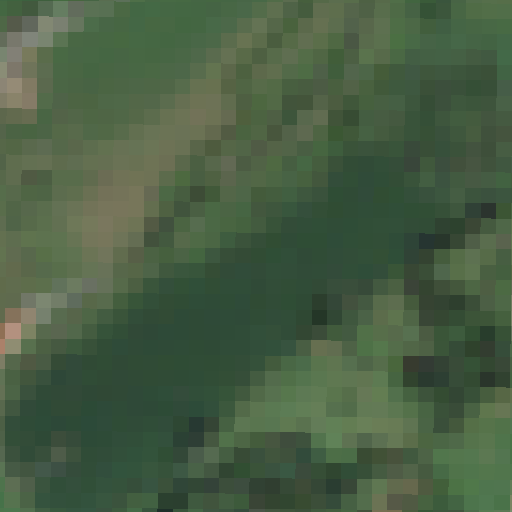 Sentinel-2-Aufnahme des Mannenweier vom 08. August 2026