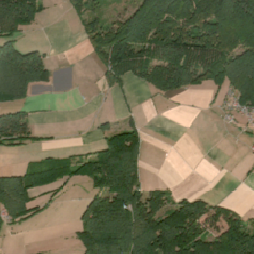 Sentinel-2-Aufnahme des Marbach-Stausee vom 10. August 2026