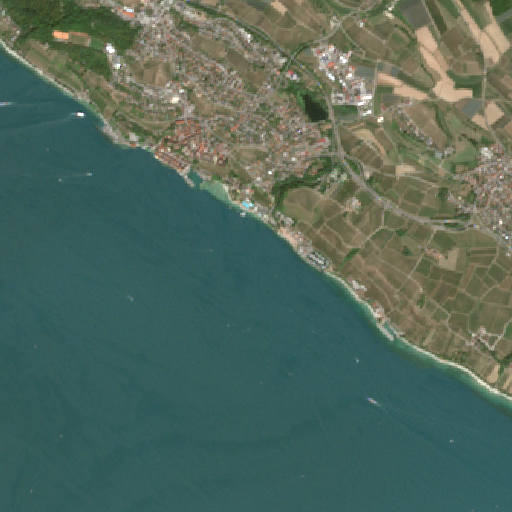 Sentinel-2-Aufnahme des MEERSBURG STRANDBAD vom 10. August 2026