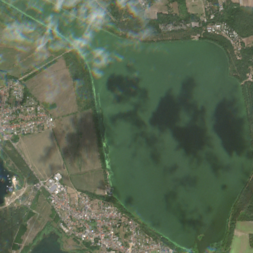 Sentinel-2-Aufnahme des Muldestausee vom 10. August 2026