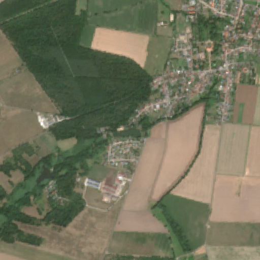 Sentinel-2-Aufnahme des NATURBAD MOSIGKAU vom 10. August 2026