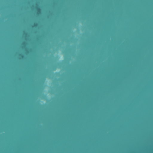 Sentinel-2-Aufnahme des Neuenburgersee vom 06. August 2026