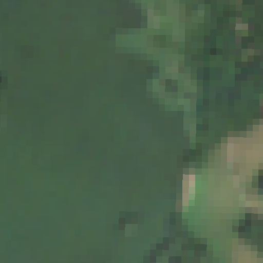 Sentinel-2-Aufnahme des Öjendorfer See vom 03. August 2026