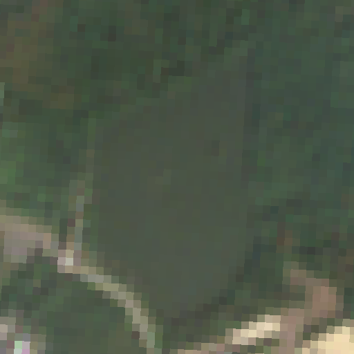 Sentinel-2-Aufnahme des Rotbachsee vom 09. August 2026
