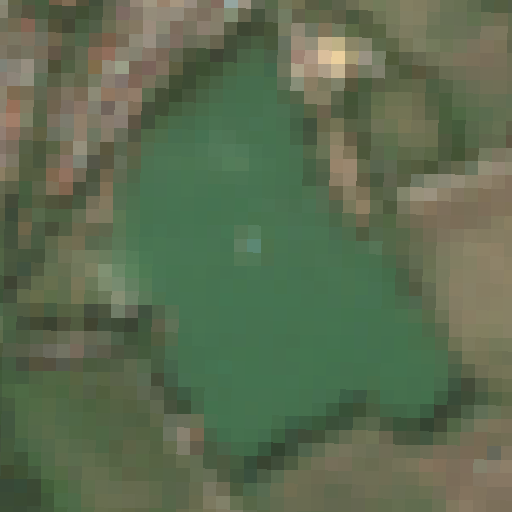 Sentinel-2-Aufnahme des Rothdachweiher vom 08. August 2026
