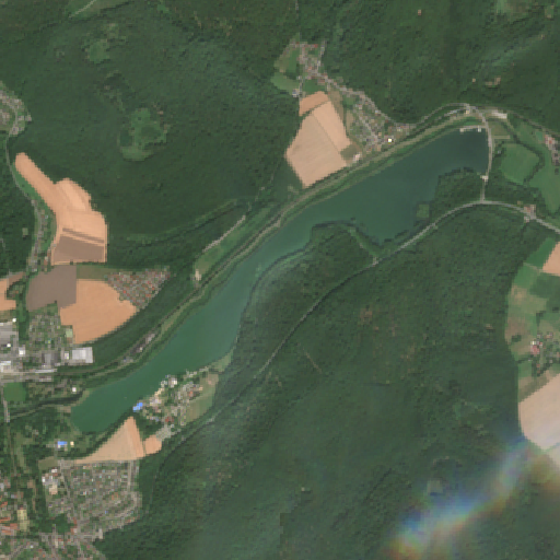 Sentinel-2-Aufnahme des Schiedersee vom 03. August 2026
